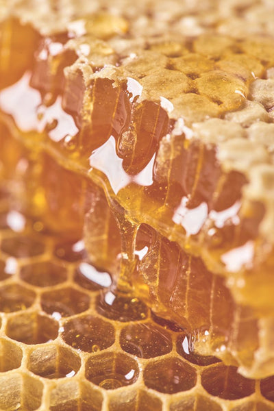 Cire d’Abeille